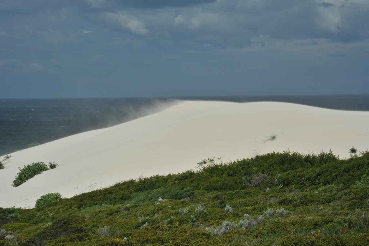 De Hoop Collection Suites De Hoop Nature Reserve Esterno foto