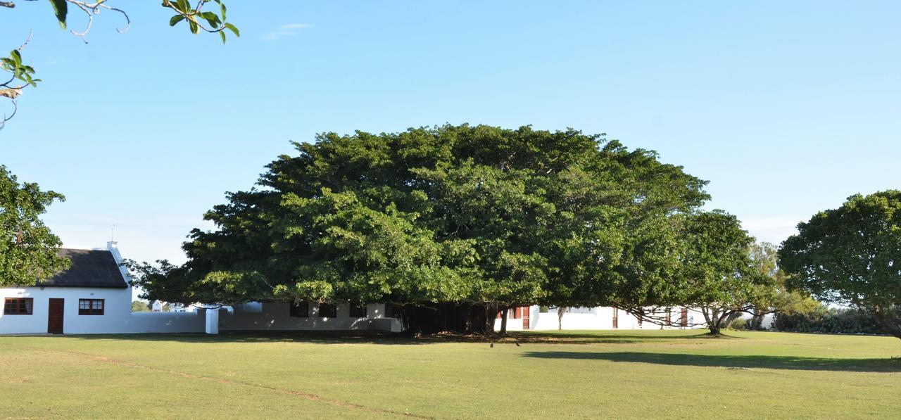 De Hoop Collection Suites De Hoop Nature Reserve Esterno foto