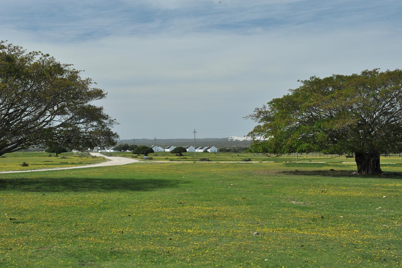 De Hoop Collection Suites De Hoop Nature Reserve Esterno foto