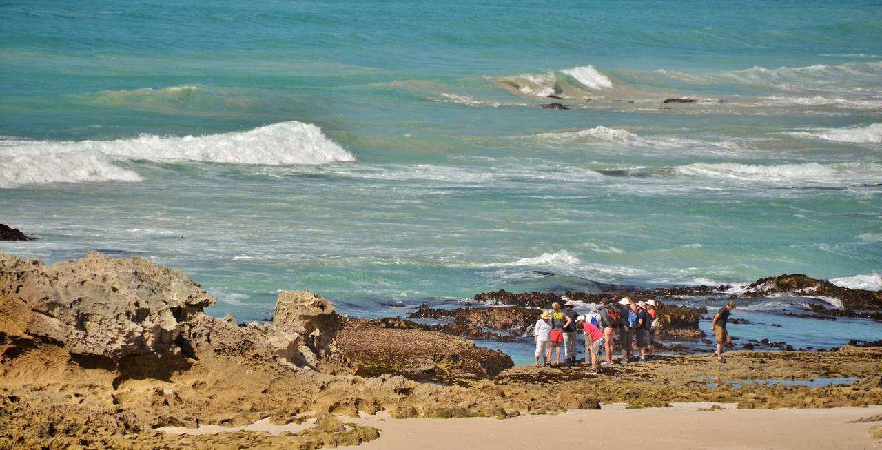 De Hoop Collection Suites De Hoop Nature Reserve Esterno foto