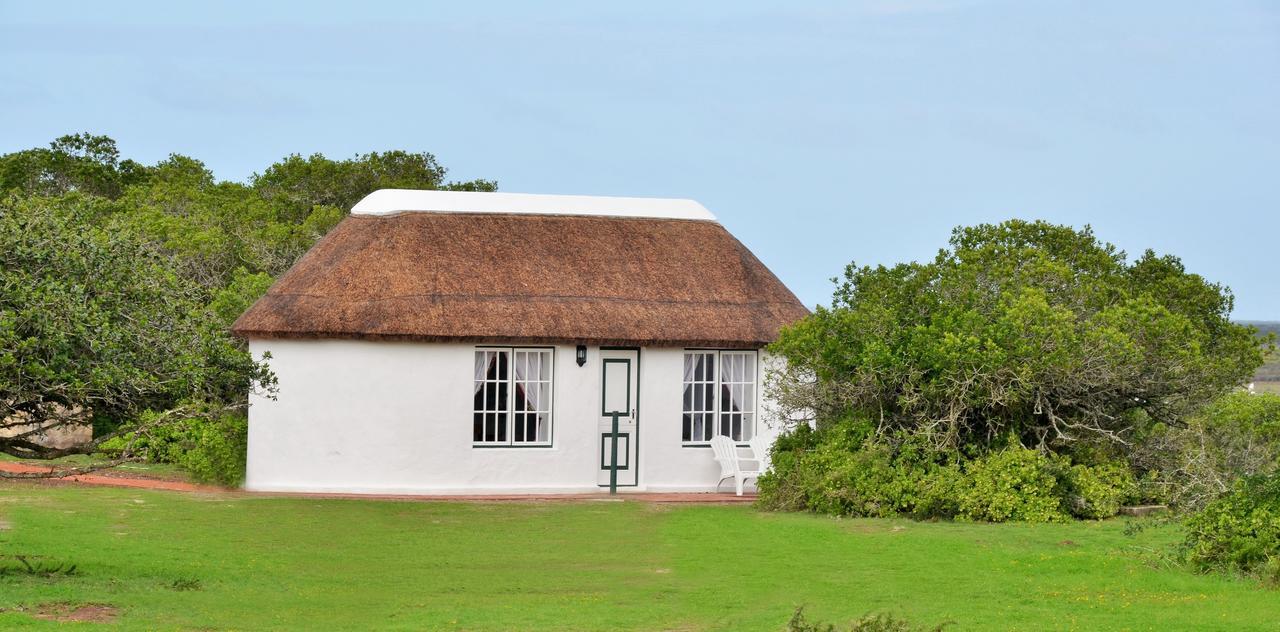 De Hoop Collection Suites De Hoop Nature Reserve Esterno foto