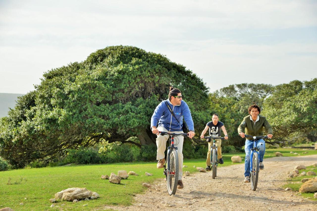 De Hoop Collection Suites De Hoop Nature Reserve Esterno foto